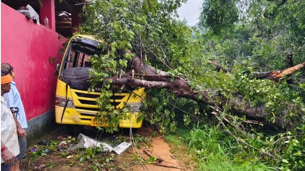स्कूल बस पर गिरा विशाल पेड़. (Photo: Sagay Raj/ITG)
