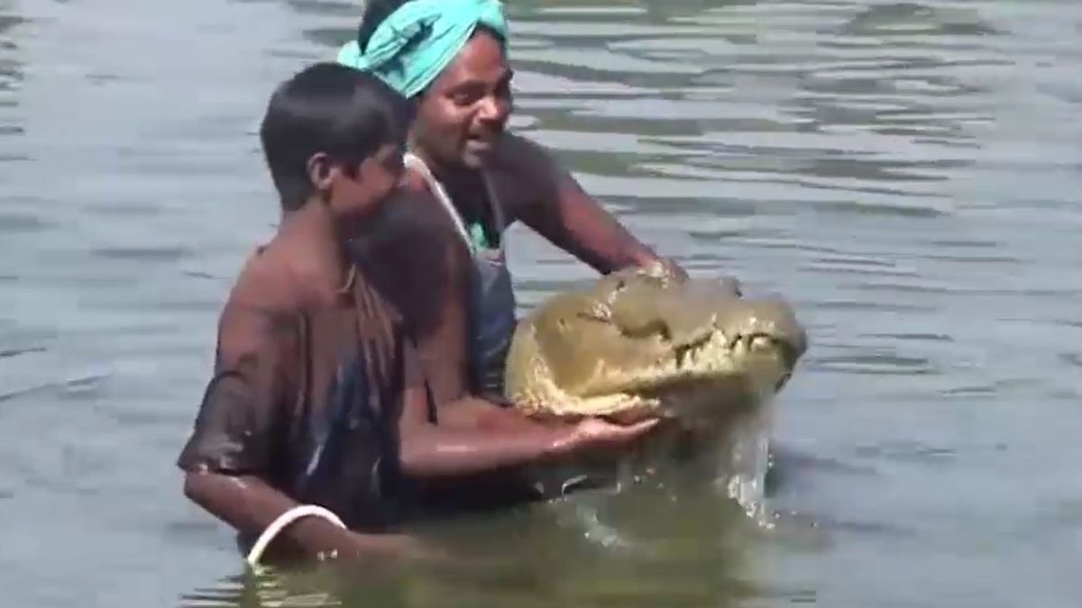 मगरमच्छ की मौत पर पूरे गांव में मनाया गया था मातम. (Photo: Screengrab)