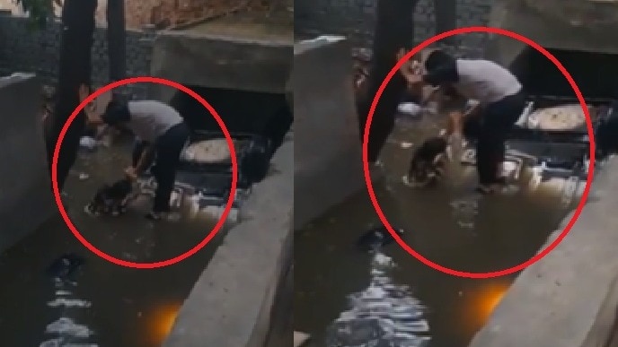 वसंत कुंज हादसे का भयावह VIDEO: नाले में डूबी कार से ऐसे बचाई गई युवती, दोस्त की मौत