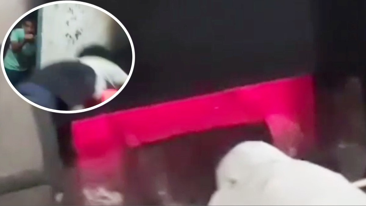 भट्टी के अंदर तक पहुंचा युवक.(Photo:Screengrab)