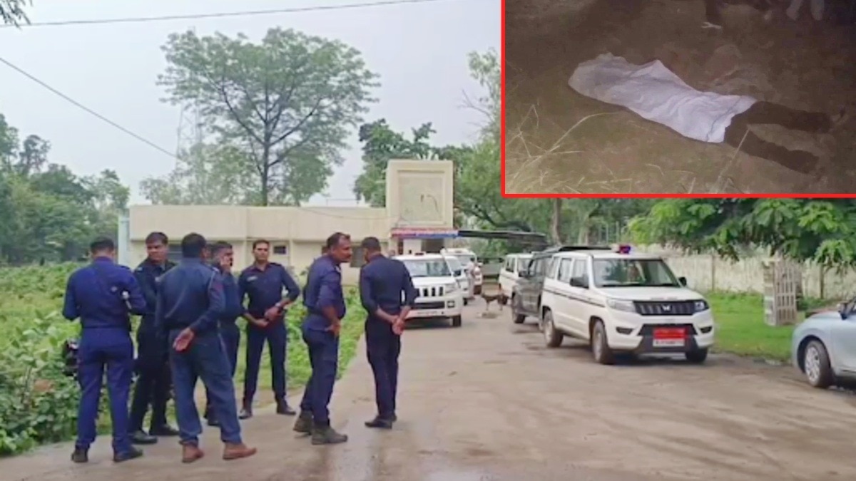 प्रेम प्रसंग की रंजिश में 16 साल के छात्र का पत्थरों से कुचला सिर.(Photo:Screengrab)