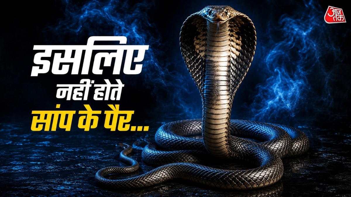 Why snakes not have legs: आखिर क्यों नहीं होते सांप के पैर, बिना इसके कैसे चलते हैं? जानिए इसके पीछे का हैरान करने वाला सच