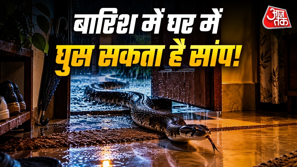 Snake Safety Tips Monsoon (Photo: ITG)