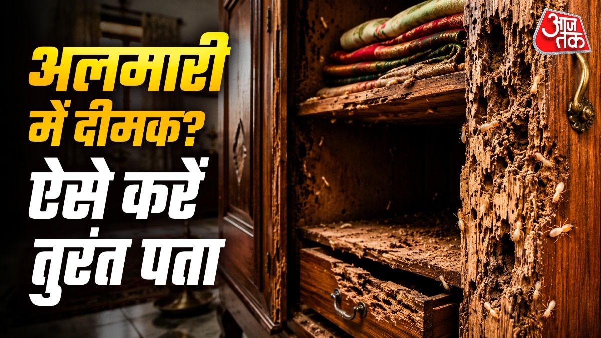 कहीं आपकी अलमारी को अंदर ही अंदर खोखला तो नहीं कर रही दीमक? बिना तोड़े 3 संकेतों से मिनटों में करें पता