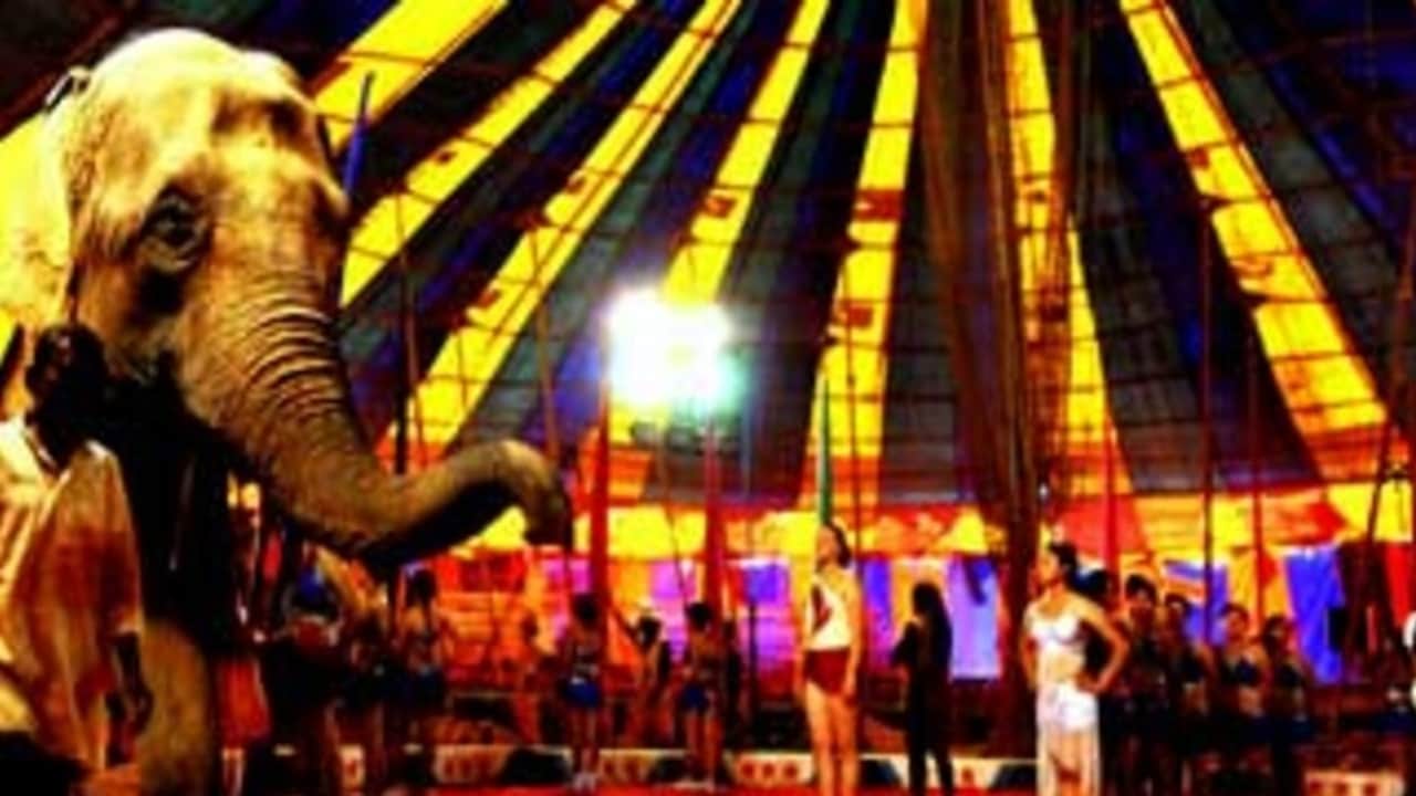 स्टंट पड़ा भारी! बोरी में भरकर 3 दिन तक गड्ढे में दफनाया, सर्कस कलाकार की मौत