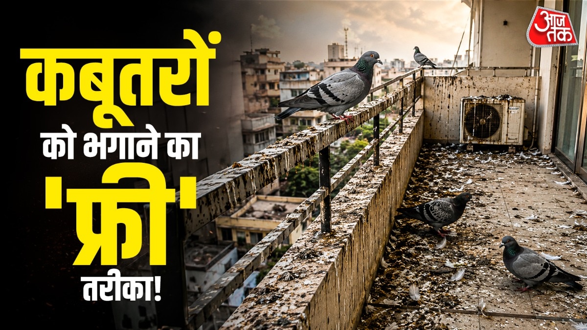 घर में बेकार पड़ी CD को बालकनी पर लटका कर आप कबूतरों से छुटकारा पा सकते हैं. (Photo: ITG)
