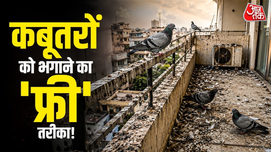 घर में बेकार पड़ी CD को बालकनी पर लटका कर आप कबूतरों से छुटकारा पा सकते हैं. (Photo: ITG) घर में बेकार पड़ी CD को बालकनी पर लटका कर आप कबूतरों से छुटकारा पा सकते हैं. (Photo: ITG)
