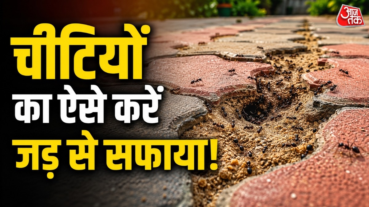 चींटियां टाइल्स के बीत की मिट्टी खोदकर सुरंग बना लेती हैं. (Photo: ITG)