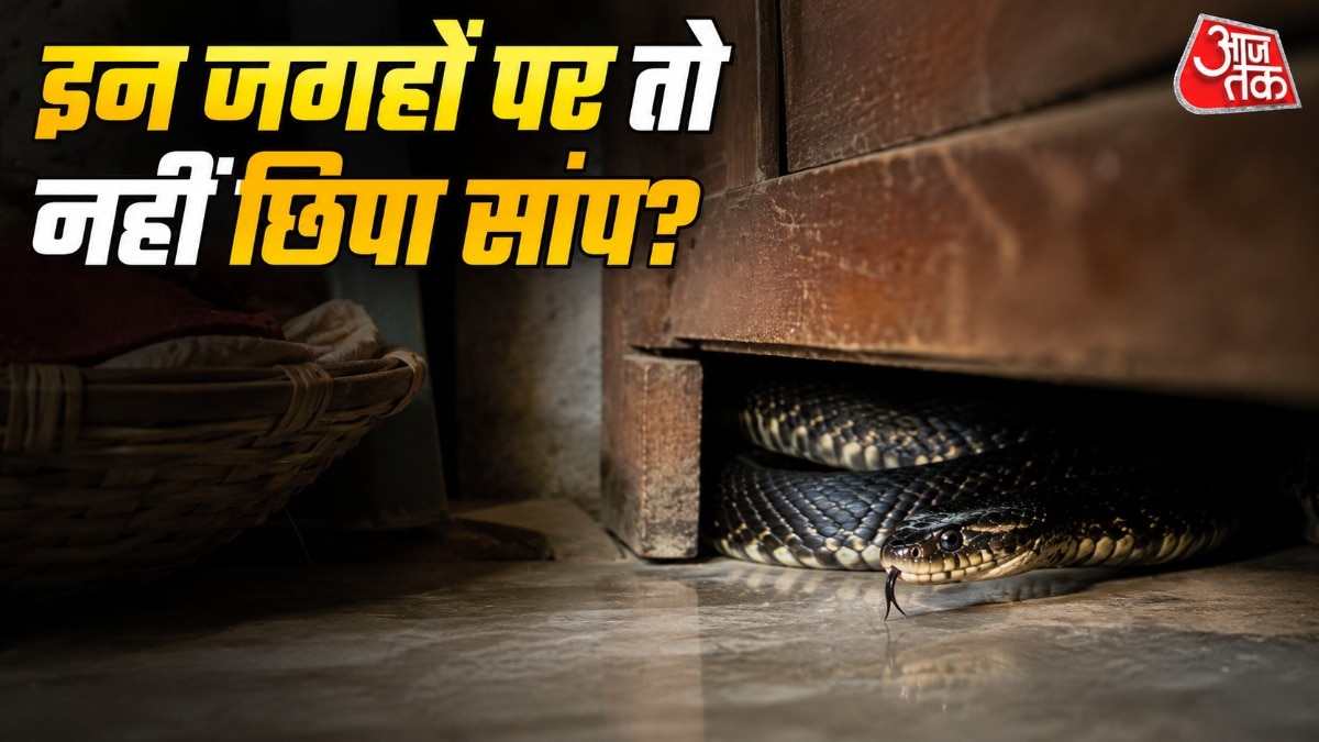 सांप आपके घर की पानी की टंकी में भी छिपा हो सकता है. (Photo: ITG)