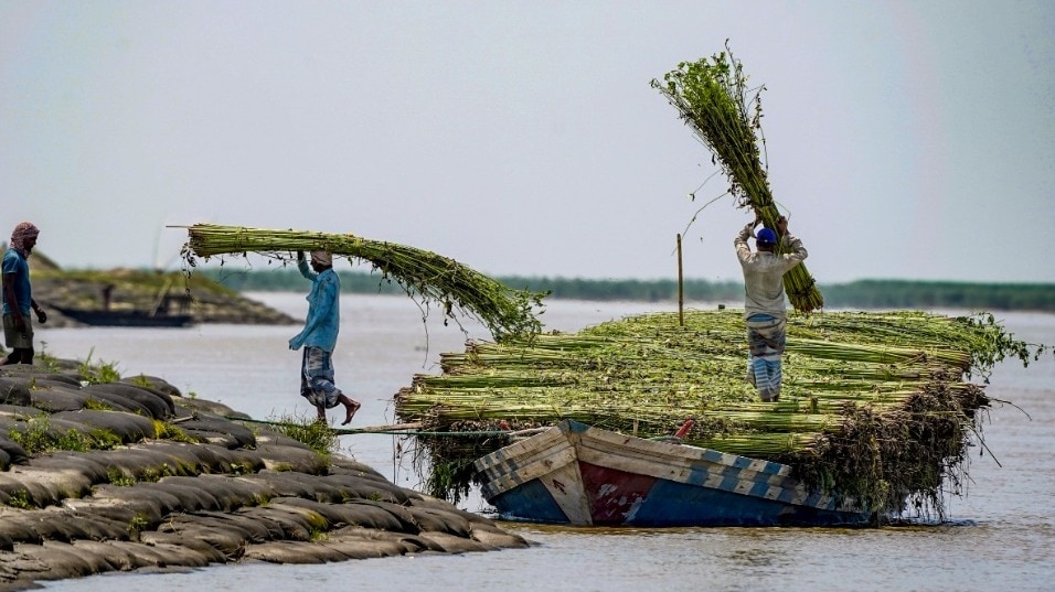 असम में बाढ़ से लाखों लोग प्रभावित हुए हैं. (Photo- PTI)