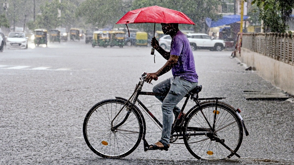 भोपाल-इंदौर समेत जिलों में बारिश की चेतावनी.(Photo:PTI)