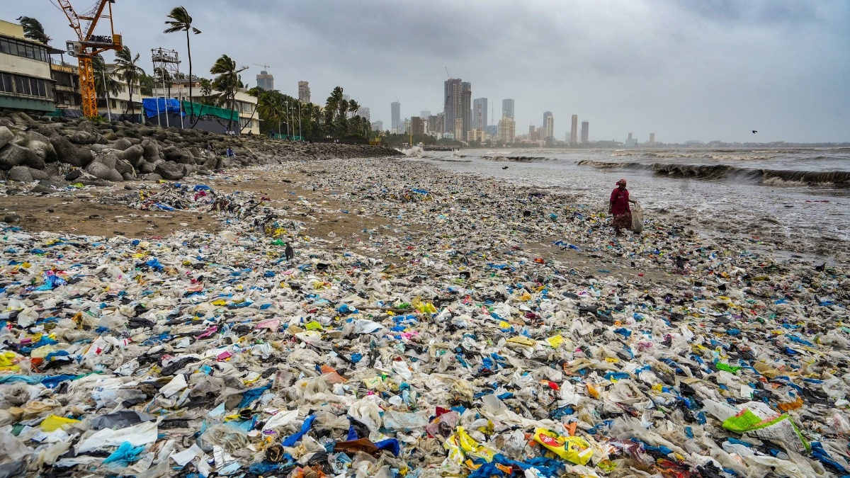 बॉम्बे हाईकोर्ट ने कहा कि कचरा फैलाने वालों पर करें निर्मम कार्रवाई (Photo: PTI)