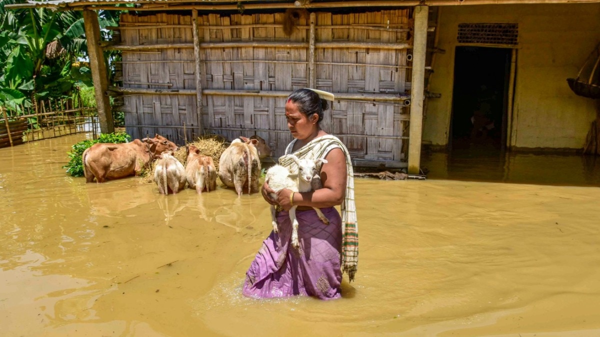 असम में बाढ़ (Photo: PTI)