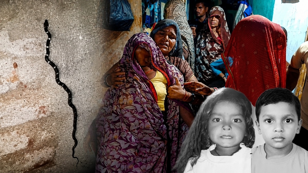 सांप ने दो मासूम को डस लिया, जिसमें से एक की मौत हो गई (Photo ITG)