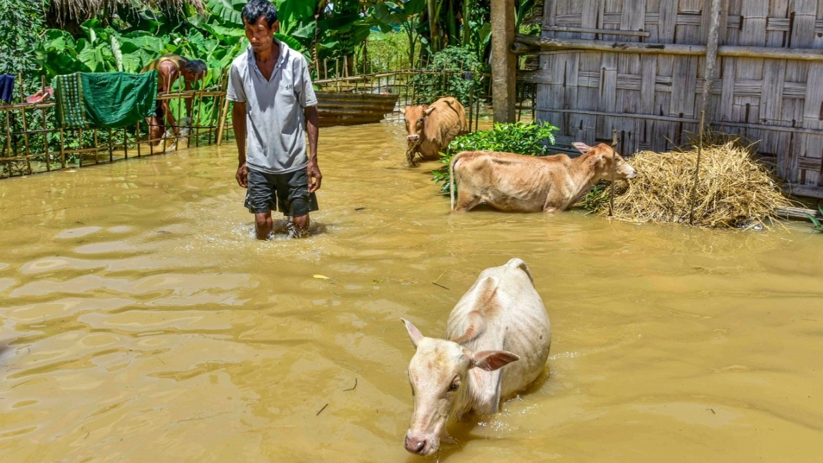 असम बाढ़ में 87 लोगों की मौत (Photo: PTI)