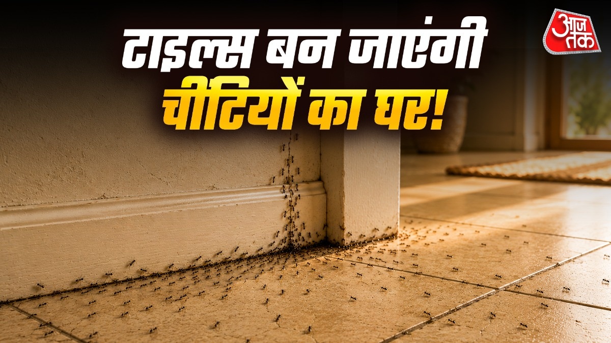 चींटियां टाइल्स में आई दरारों में अपना घर बना लेती हैं. (Photo: ITG)