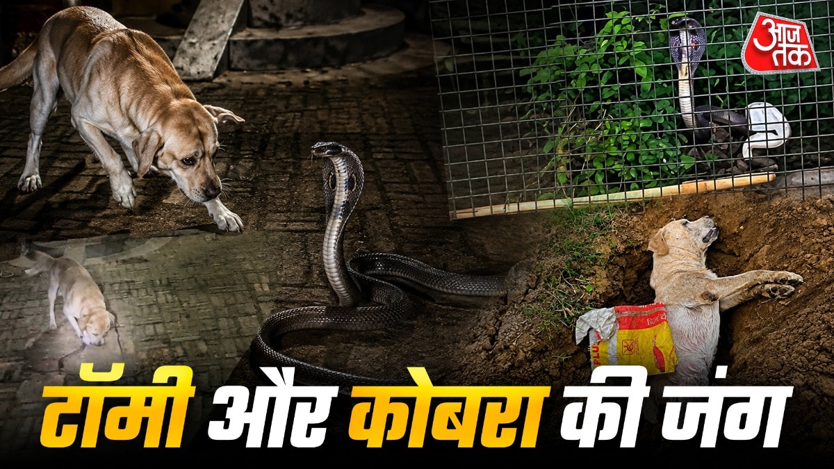 बलिया में पालतू कुत्ते और जहरीले सांप की लड़ाई (Photo- ITG) 