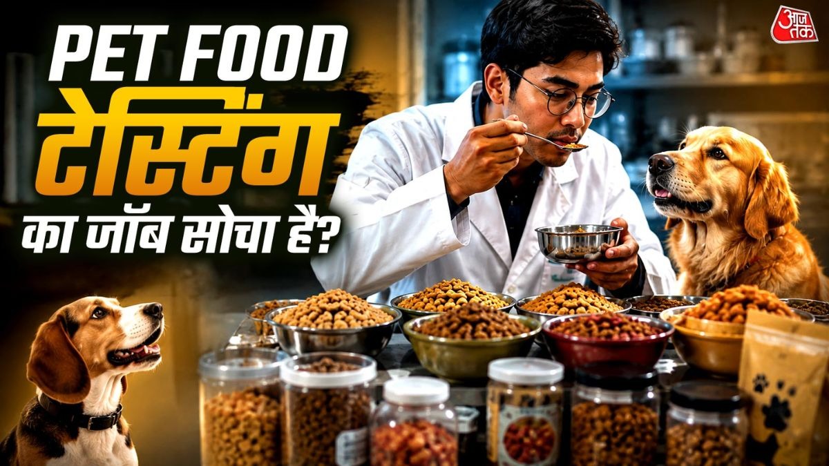 क्या कभी सोचा है इन जॉब्स के बारे में.  
