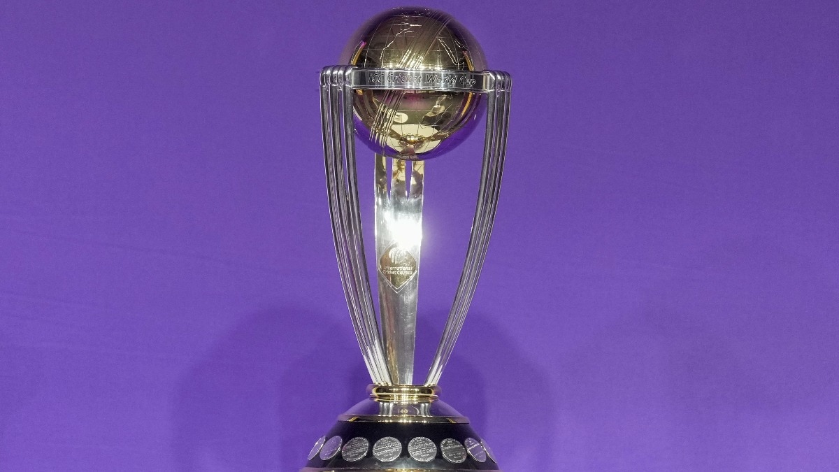 ICC का बड़ा अपडेट, World Cup 2027 Qualifier की डेट फाइनल (Photo: PTI)
