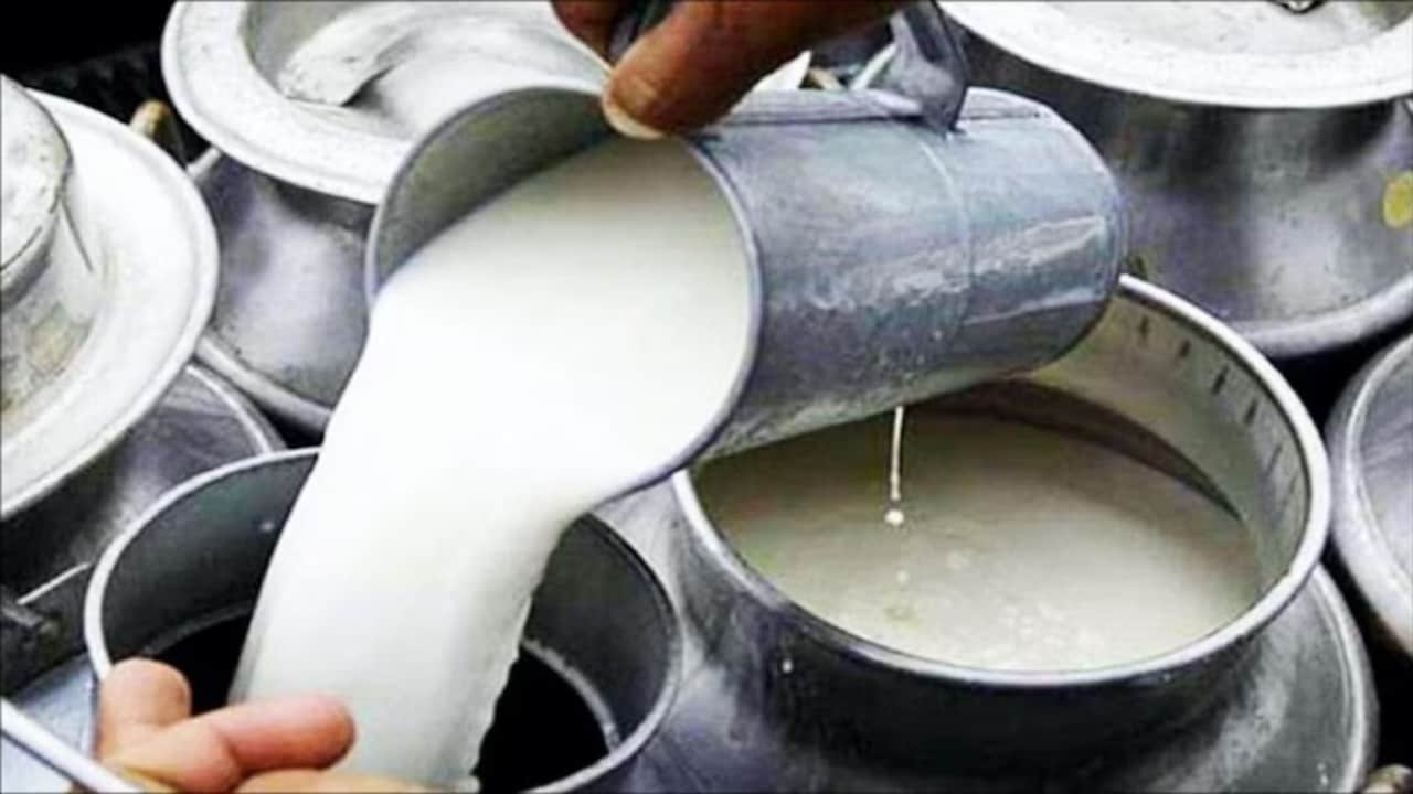 यूपी का डेयरी सेक्टर बढ़ा रहा किसानों की आय, गांव में ही हो रही कमाई!