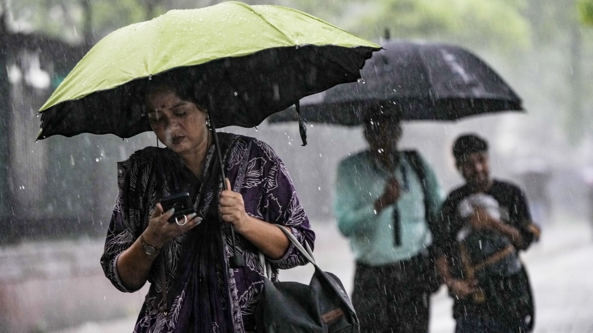 पिछले 24 घंटे के भीतर मुरैना में सबसे अधिक 60 मिमी बारिश दर्ज की गई.(File Photo:PTI)
