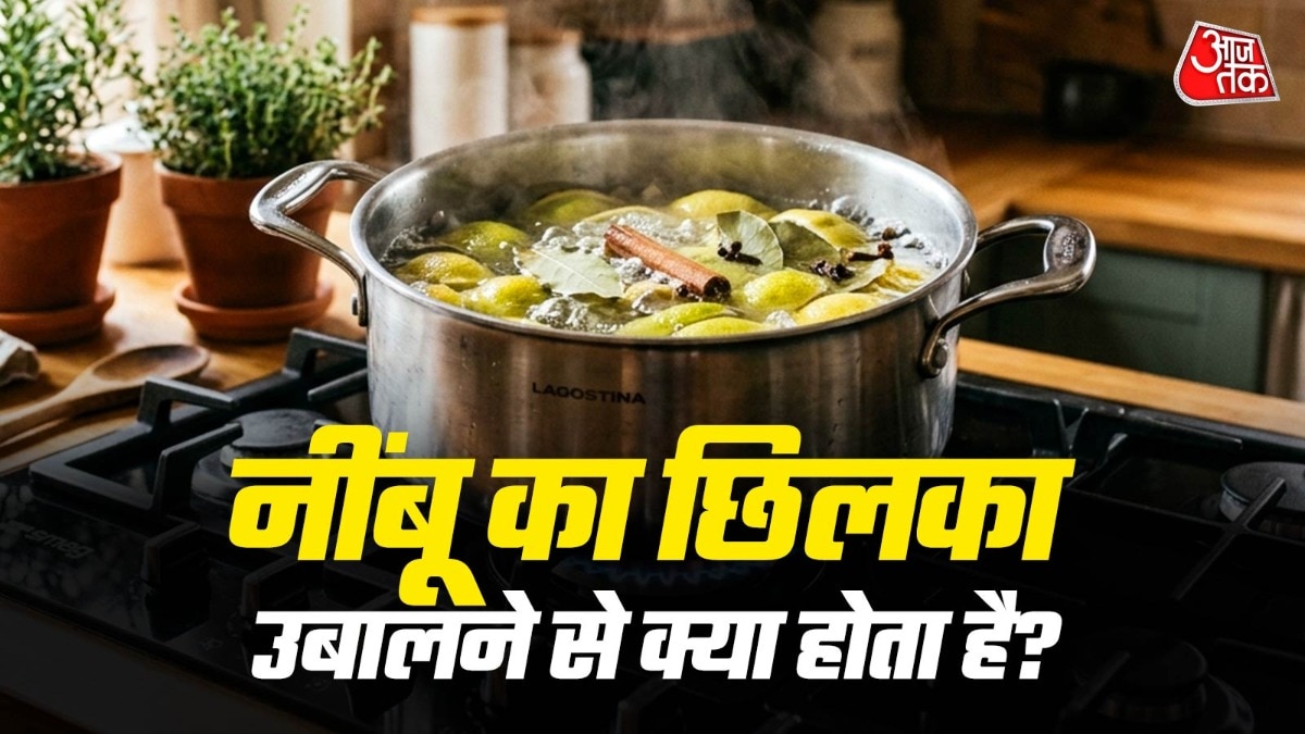तेजपत्ते की गंध से मच्छर भागते हैं. (PHOTO:AI)