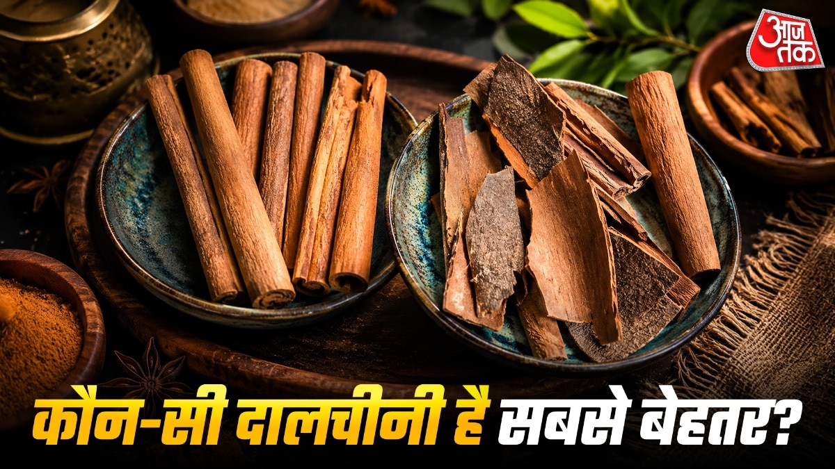 कैसिया दालचीनी सेहत के लिए हानिकारक होती है. (PHOTO:ITG)