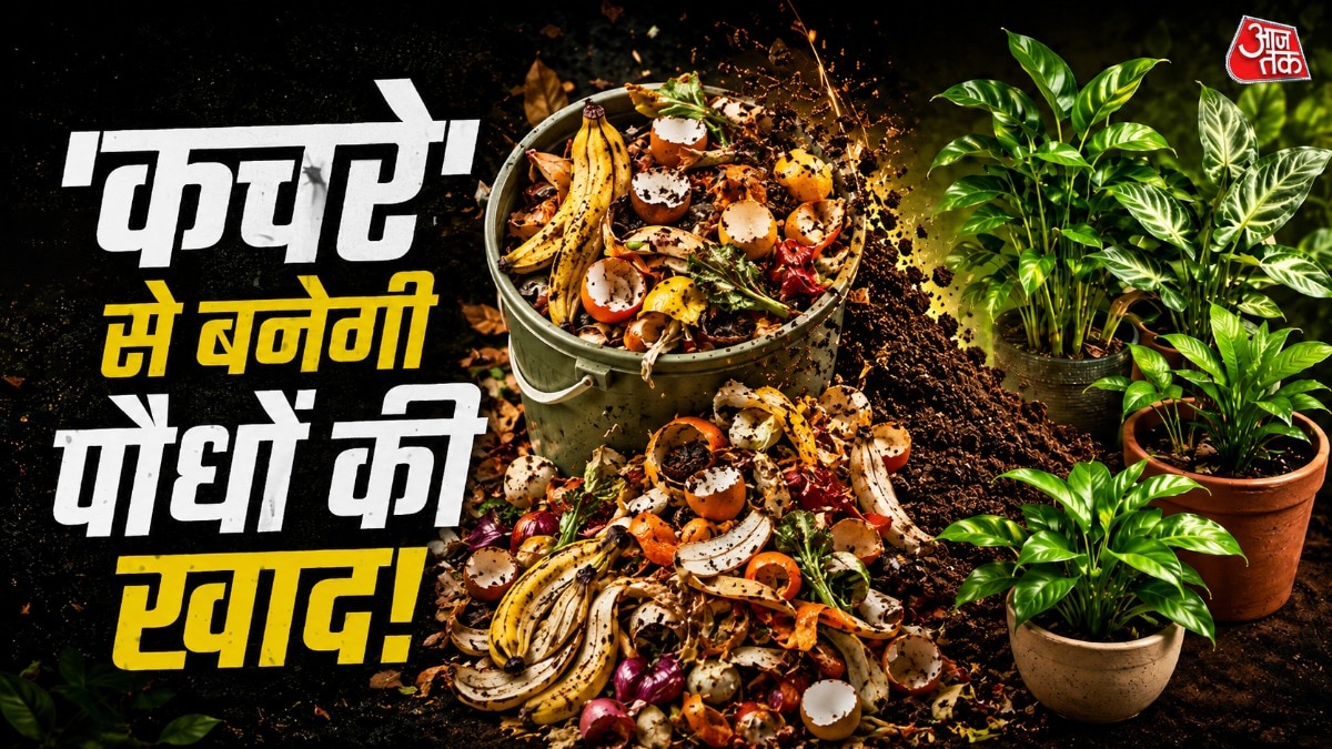 फल और सब्जियों के छिलकों में ऐसे कई तत्व होते हैं, जो पौधों के लिए बढ़िया साबित होते हैं. (Photo: ITG) 