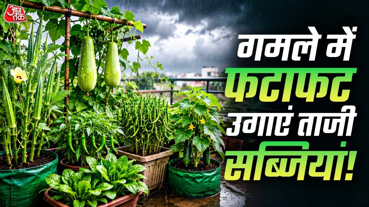 Mosoon Vegetables in Pot (Photo: ITG)