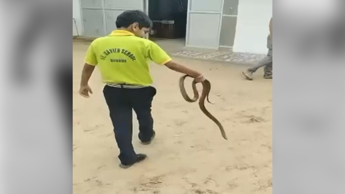 9 साल के छात्र ने स्कूल में पकड़ा सांप. (Photo: Screengrab)