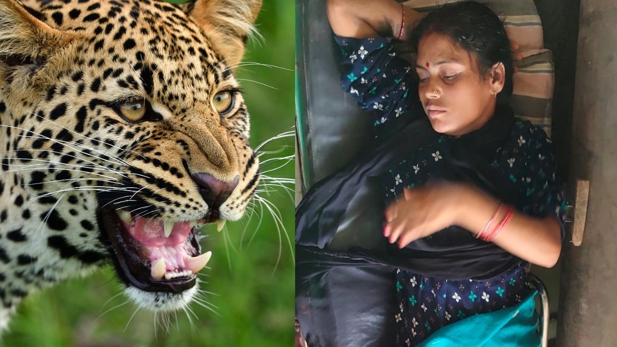 up bahraich mother fight with leopard