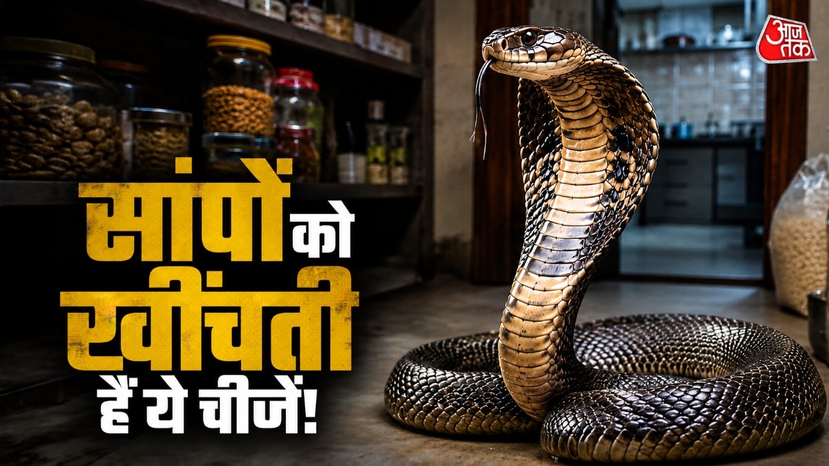 रसोई में अगर खुली दालें और अनाज रखे हैं, तो सांप आ सकते हैं. (Photo: ITG)