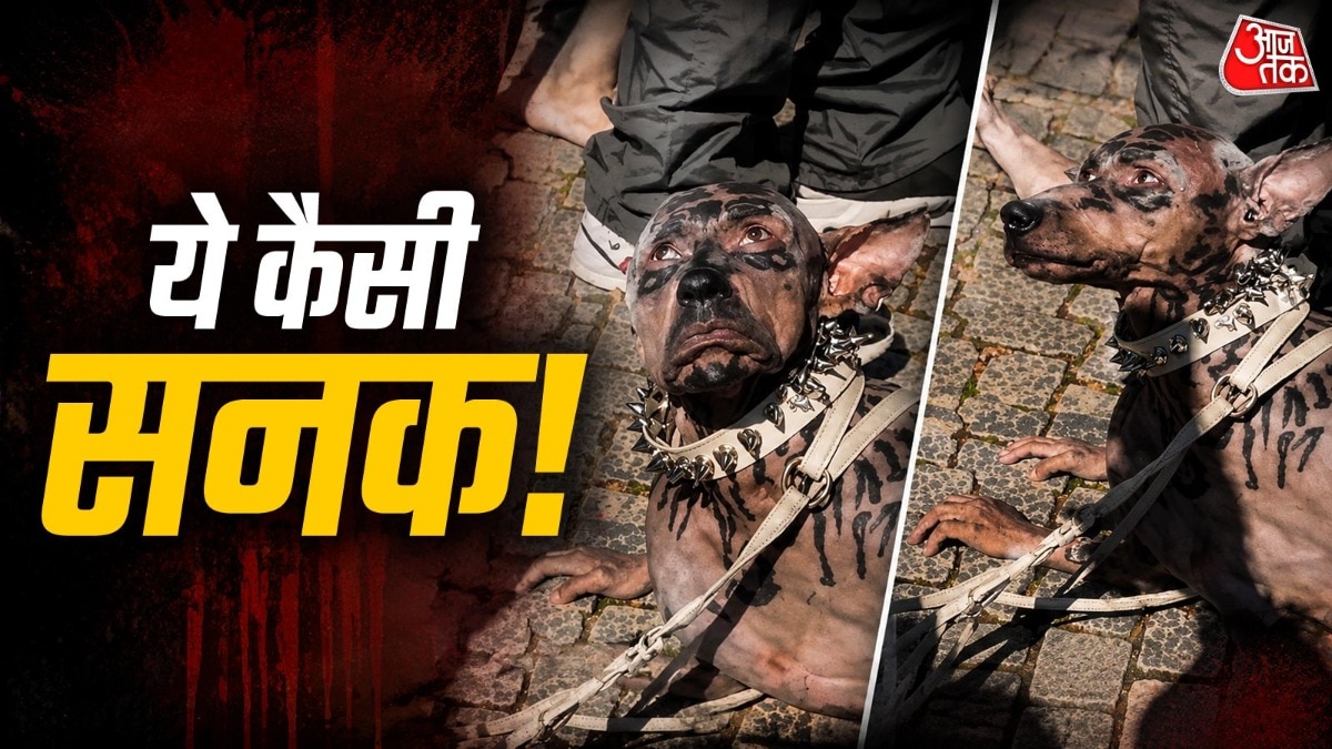 कुत्ता बनने के लिए करोड़ों का खर्च! जापानी शख्स का Video वायरल
