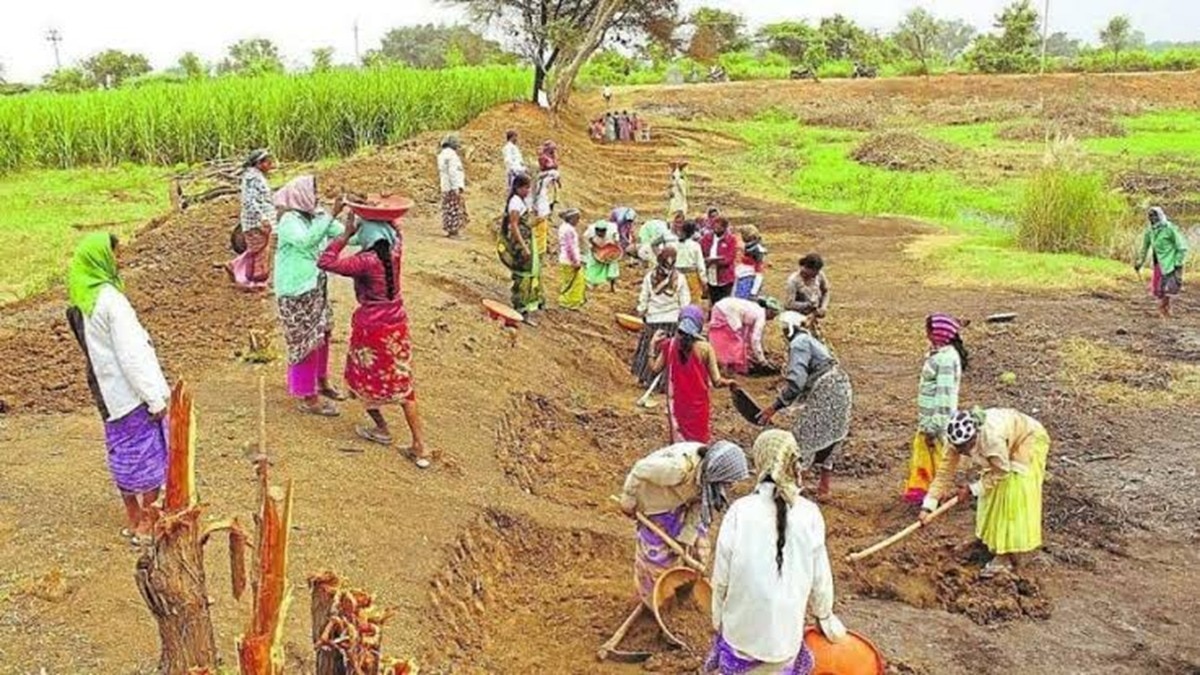 नई ग्रामीण रोजगार योजना वीबी जीराम जी के पहले महीने में काम के दिनों में मनरेगा की तुलना में करीब 50% की गिरावट आई. (File Photo)