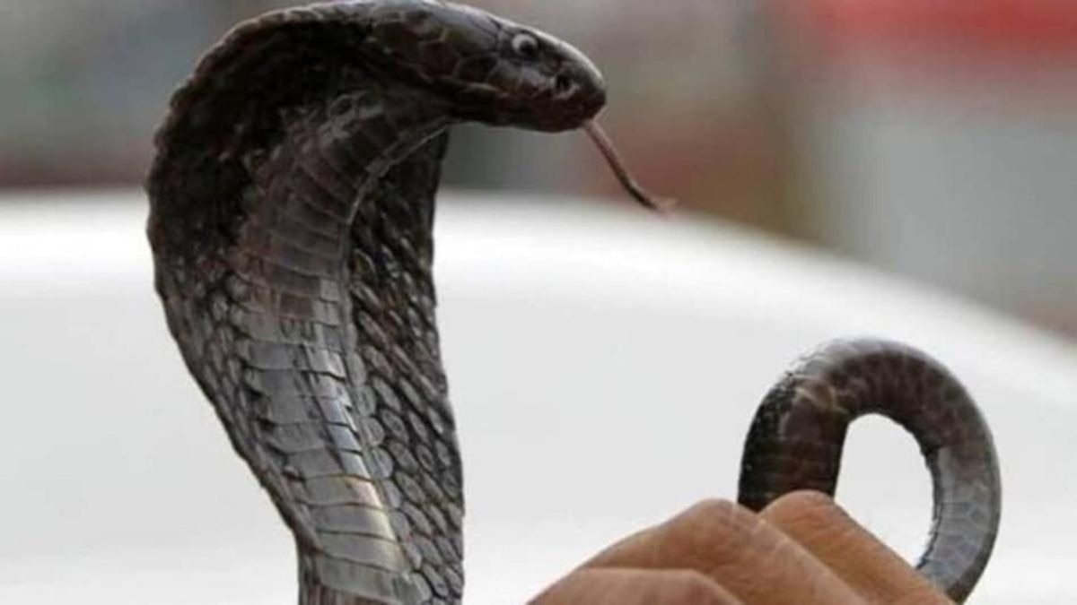 घटना से अन्य छात्राओं में दहशत. (File Photo; ITG)