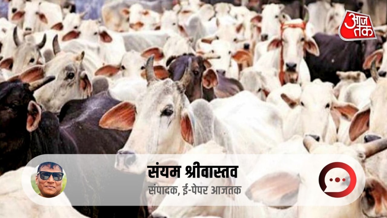 यूपी में गोमूत्र खरीद का पायलट प्रोजेक्ट: किसानों की आय और जैविक खेती को बढ़ावा देने की कितनी है तैयारी?