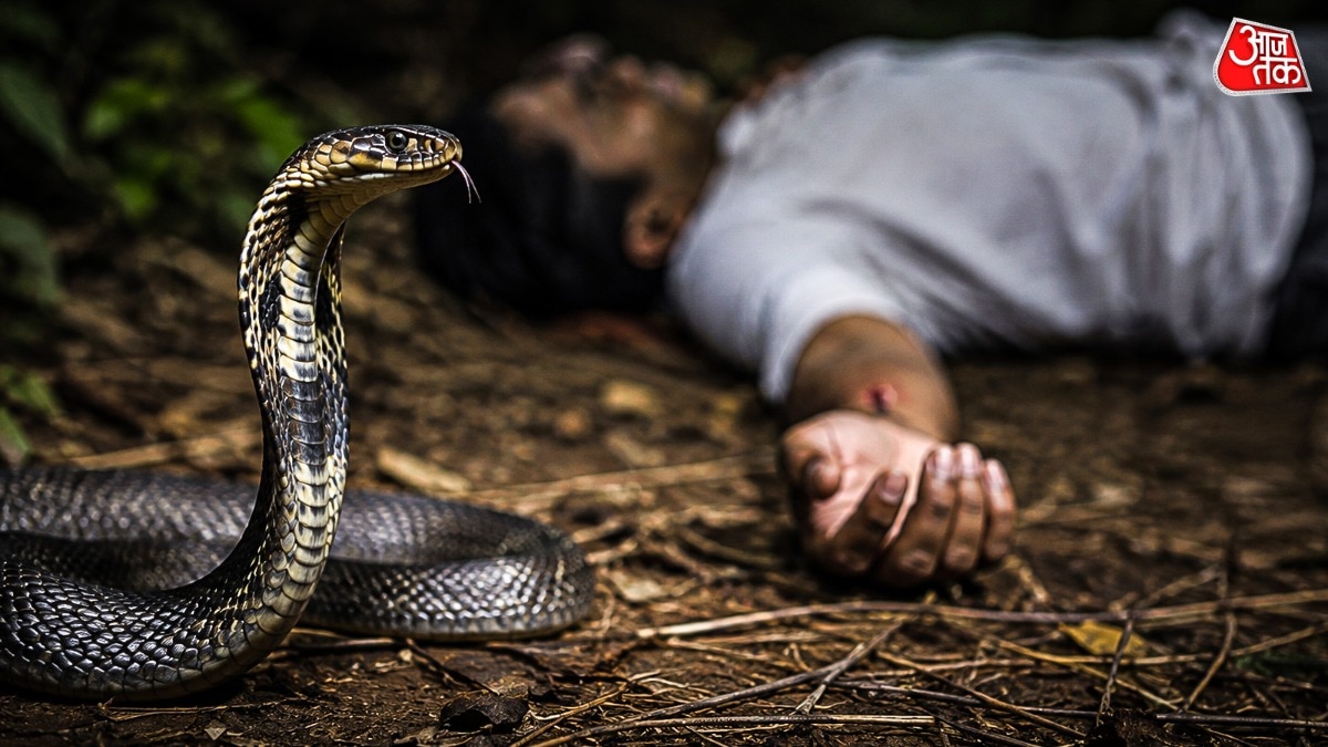 Snake byte and death