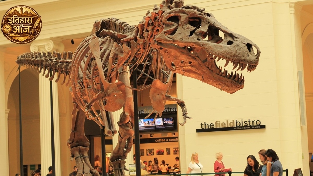 T. rex Sue fossil