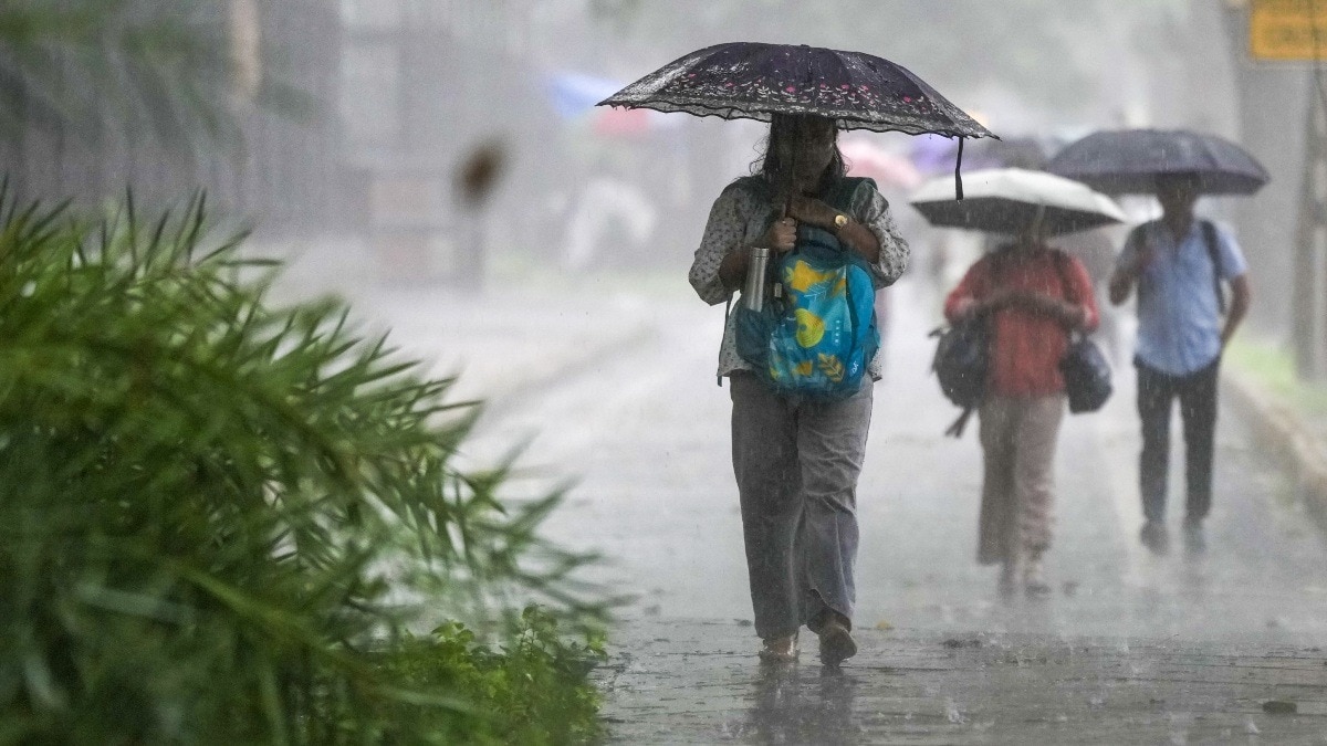 mp monsoon update