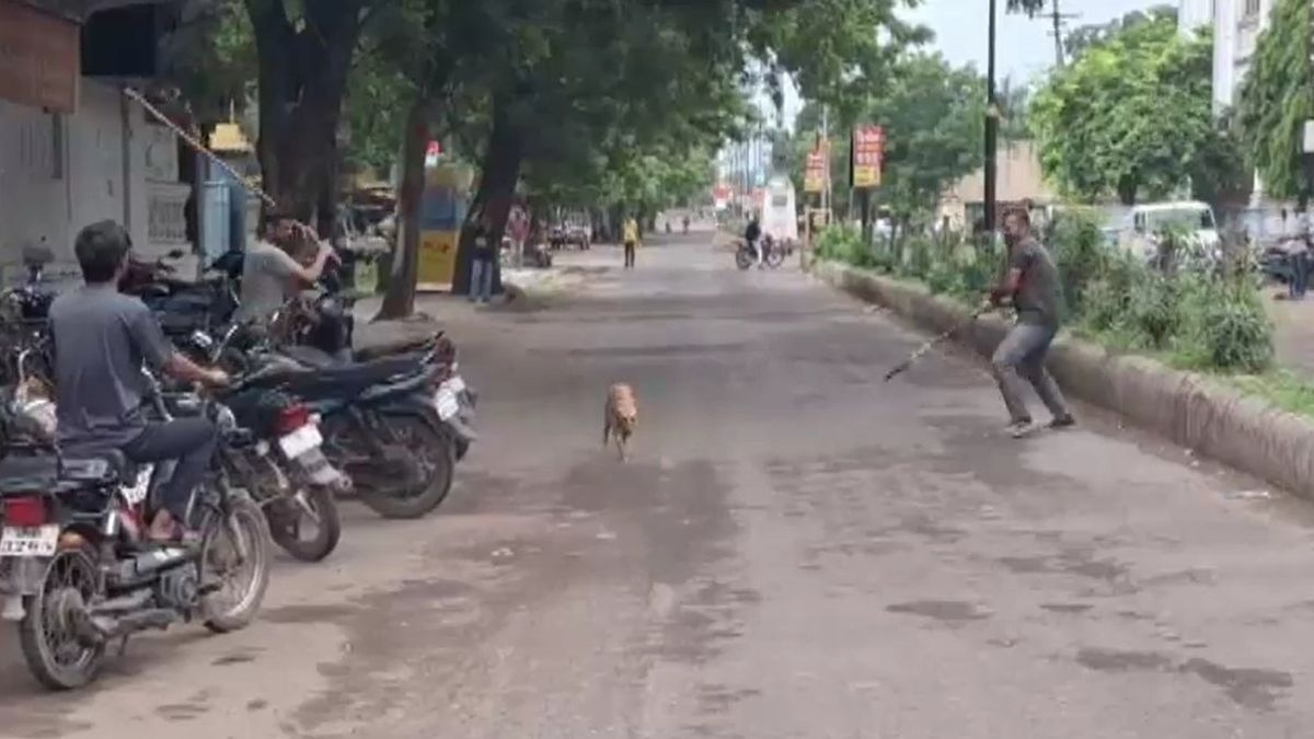 कुत्ते ने इलाके में मचा रखा था आतंक. (Photo: Screengrab)