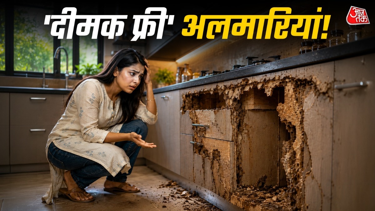 PVC से लेकर एल्युमिनियम तक की अलमारियों में दीमक नहीं लगती है. (Photo: ITG)
