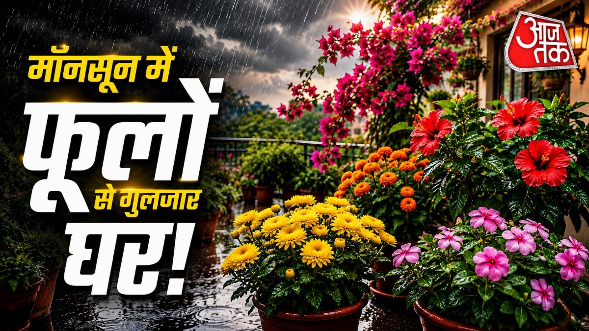बरसात में फूलों के पौधे बहुत ही आसानी से उगाए जा सकते हैं. (Photo: ITG)