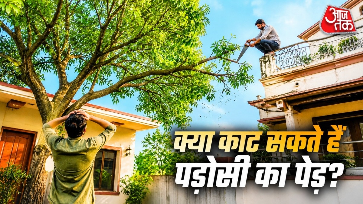 क्या आप काट सकते हैं पड़ोसी का पेड़ (Photo: ITG)