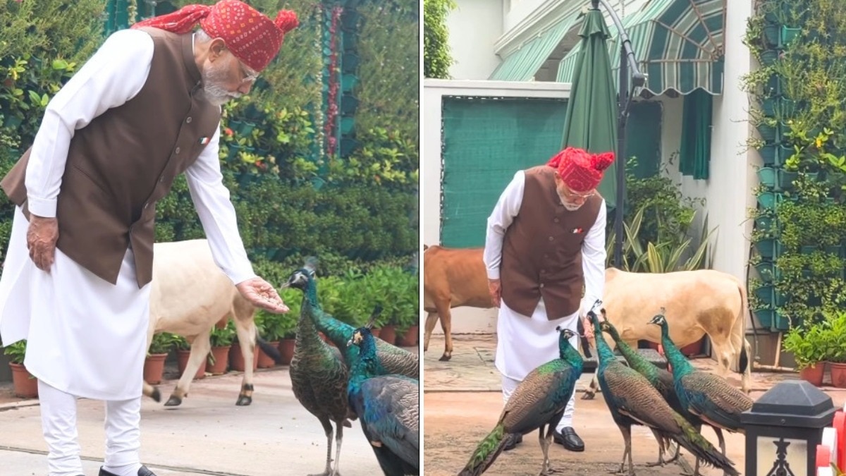 PM Modi