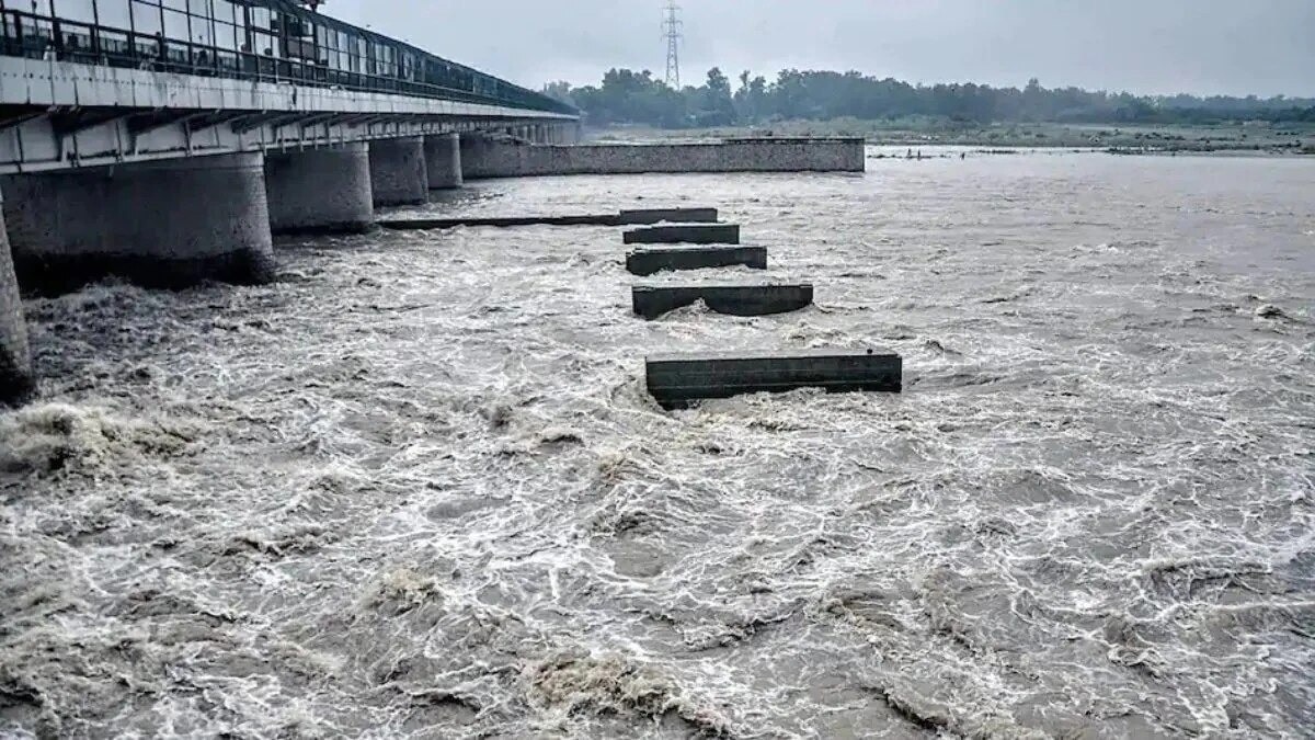 चंबल नदी का जलस्तर बढ़ा (सांकेतिक फोटो)