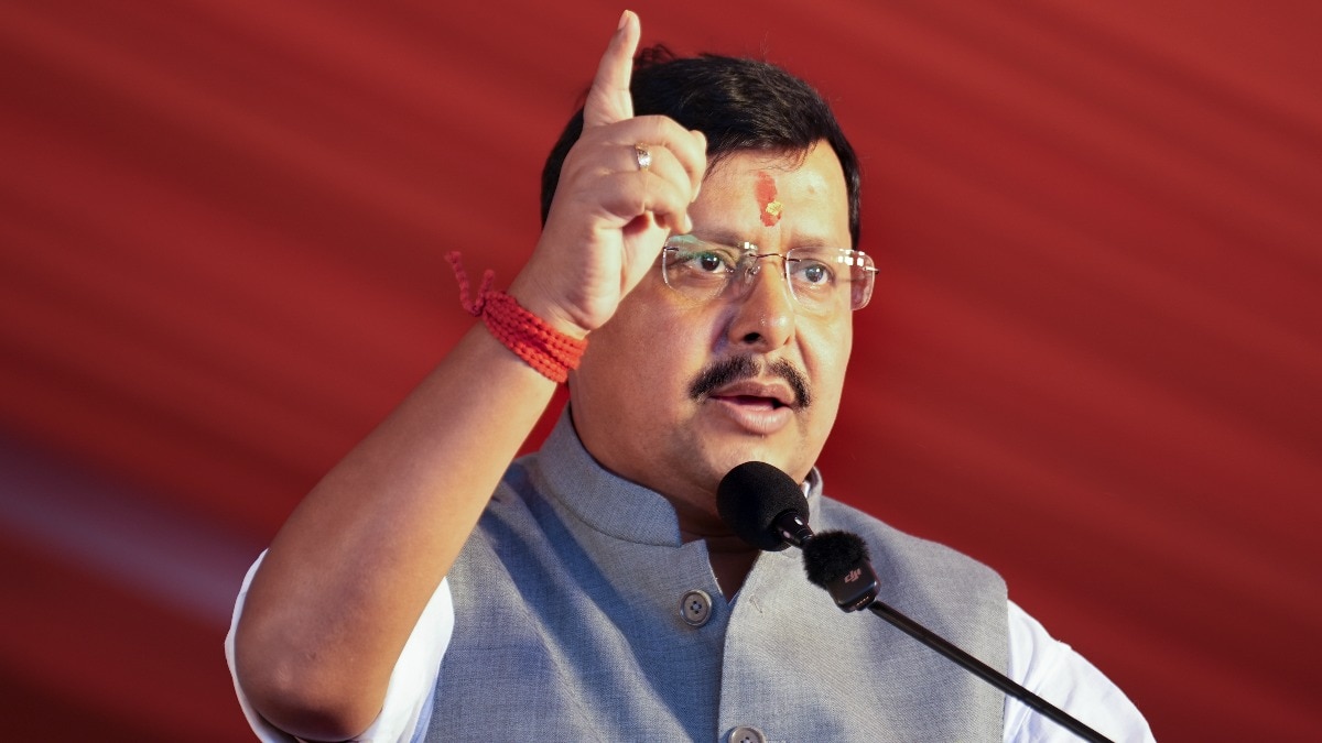 बीजेपी अध्यक्ष नितिन नवीन की नई टीम कैसी होगी (Photo-PTI)