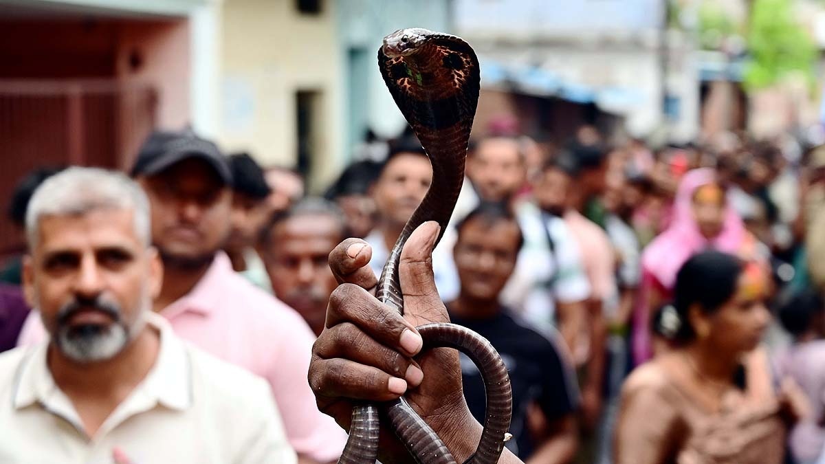 नाग पंचमी के मौके पर प्रयागराज में कोबरा दिखाता एक संपेरा. (Photo: PTI)