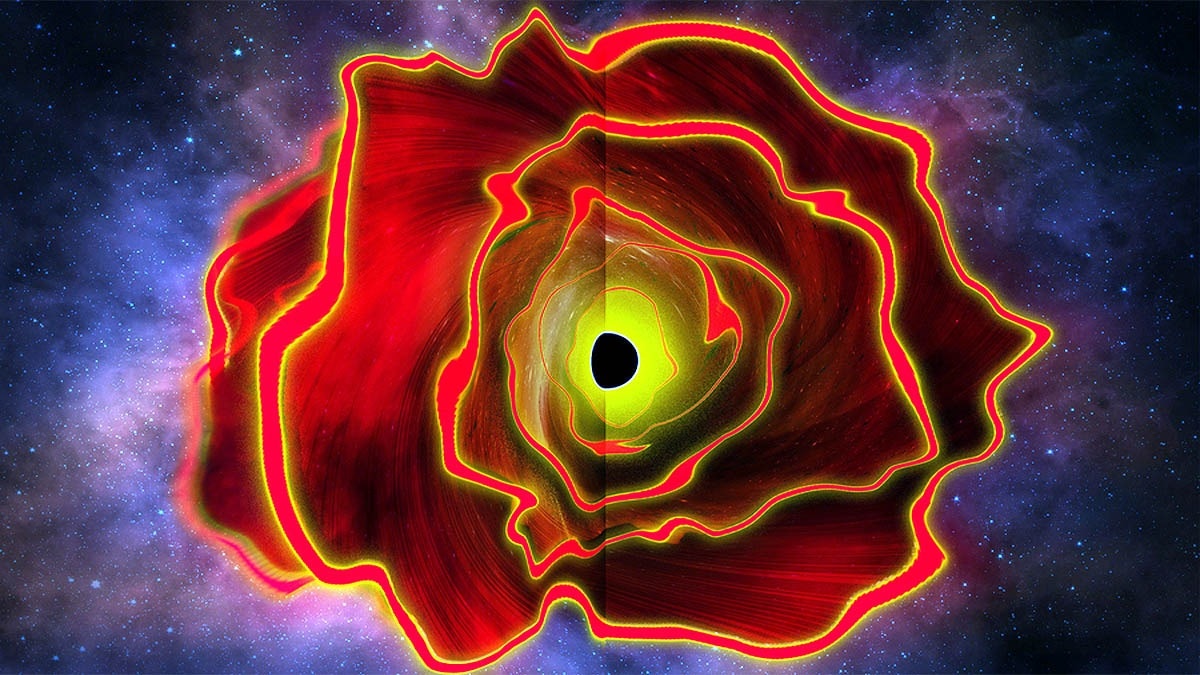 Black Hole Star
