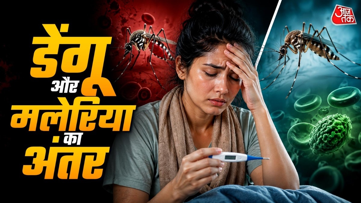 डेंगू और मलेरिया में क्या है अंतर ( PHOTO-ITGD) 