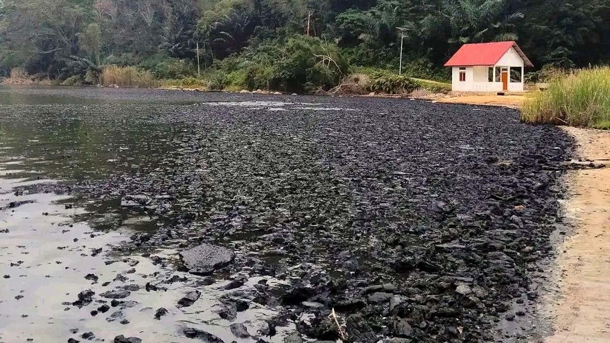इंडोनेशिया में भूकंप के बाद सानो न्गोआंग झील में काला पदार्थ निकल आया. (Photo: X/World Updates)